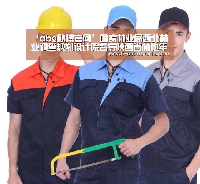 欧博