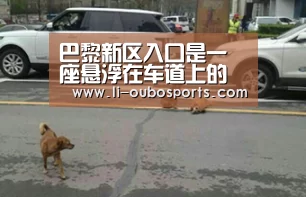 巴黎新区入口是一座悬浮在车道上的半月形花园‘abg欧博官网’