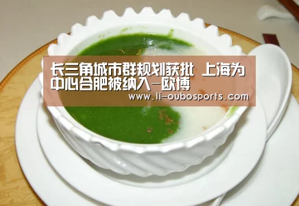长三角城市群规划获批 上海为中心合肥被纳入-欧博