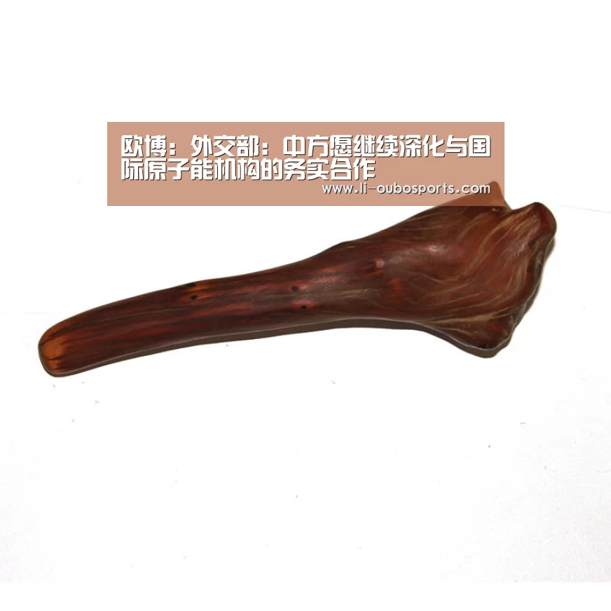 欧博：外交部：中方愿继续深化与国际原子能机构的务实合作