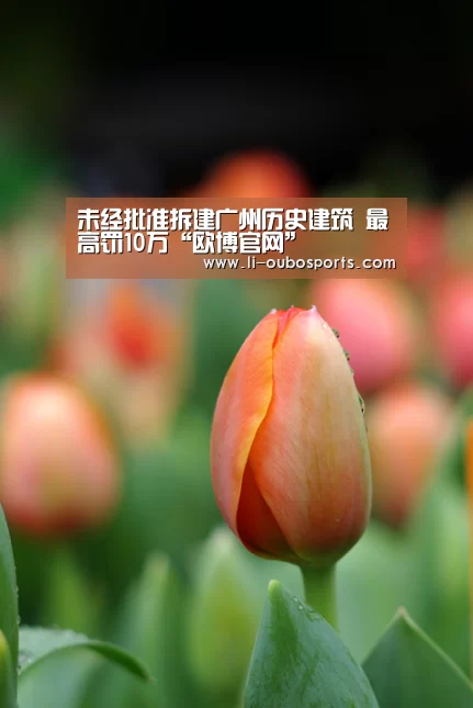 未经批准拆建广州历史建筑 最高罚10万“欧博官网”