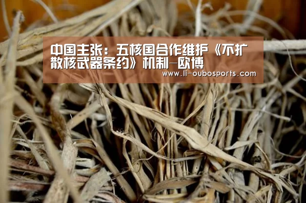 中国主张：五核国合作维护《不扩散核武器条约》机制-欧博